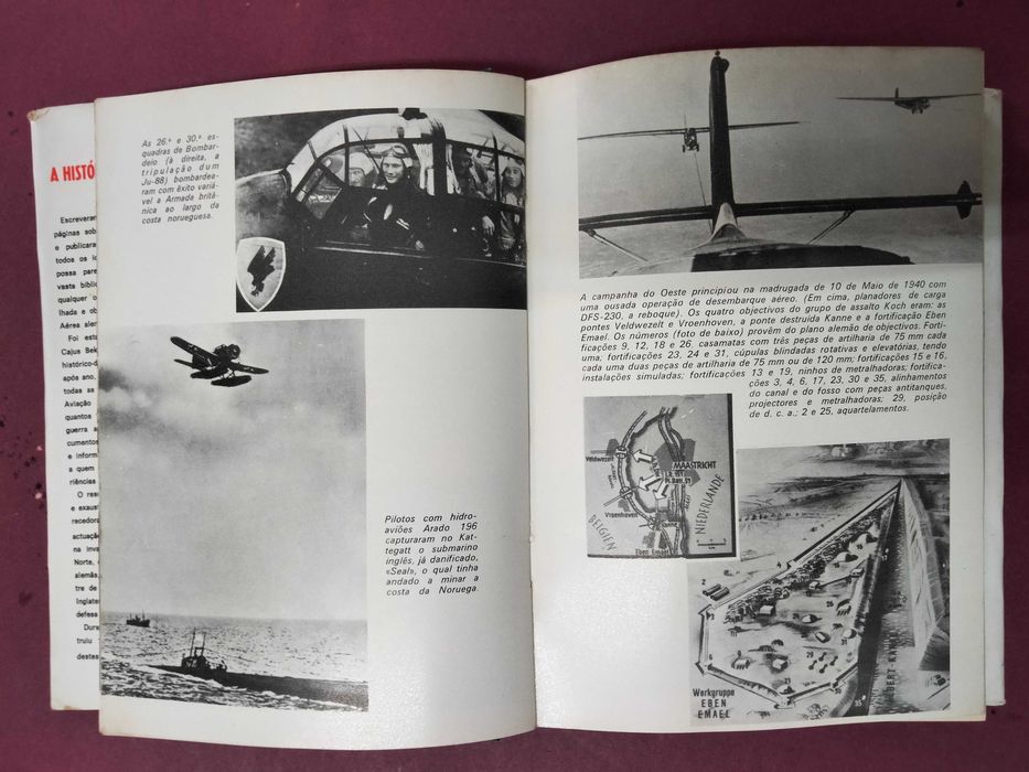 A História da Luftwaffe - Cajus Bekker