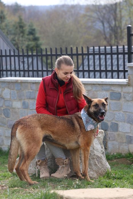 Mix do adopcji bardzo fajny pies