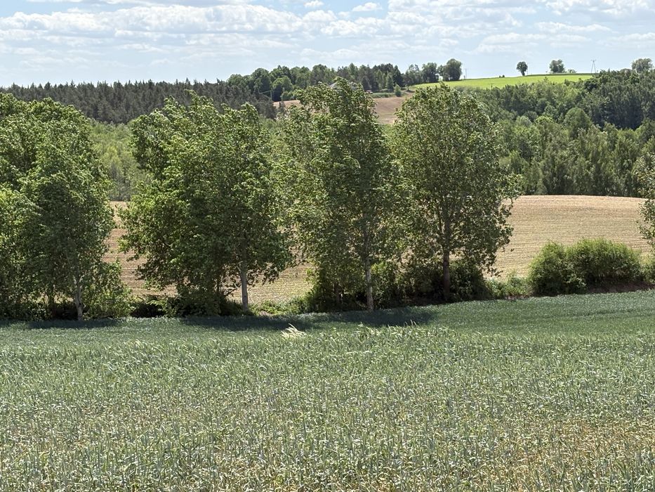 Działka budowlana 3000 m2,pojezierze brodnickie z warunkami zabudowy