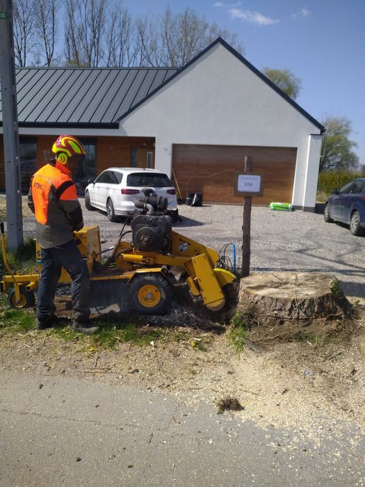 Usuwanie, Frezowanie Pni ,Karczowanie ,Frezarka Karp Korzeni Drzew