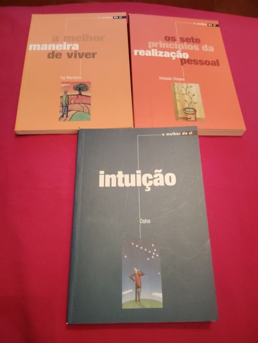 Livros de Desenvolvimento Pessoal Como Novos