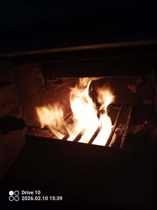 Owies Bingo  workowany