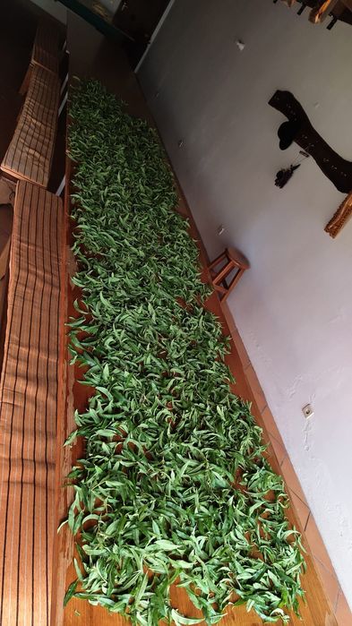 Infusão/Chá de Limonete (25g)