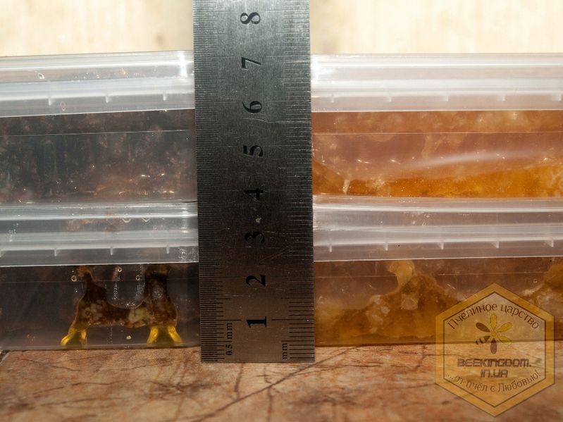 Мед у сотах акація / Сотовый мед / Стільниковий 900г свіжий збір 2025р