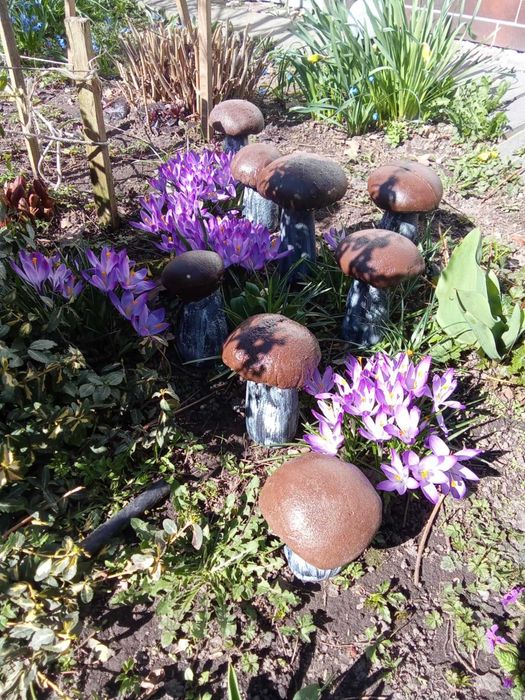 Grzyby z betonu 3szt