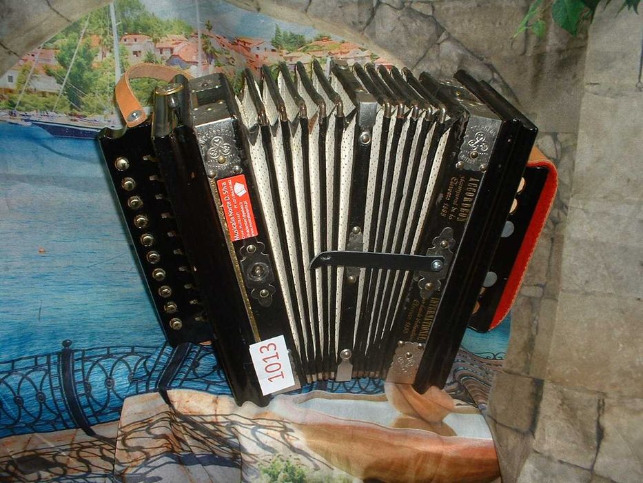 Promoção de Acordeões de concertinas