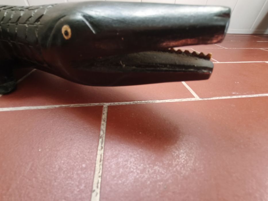 Crocodilo pau preto