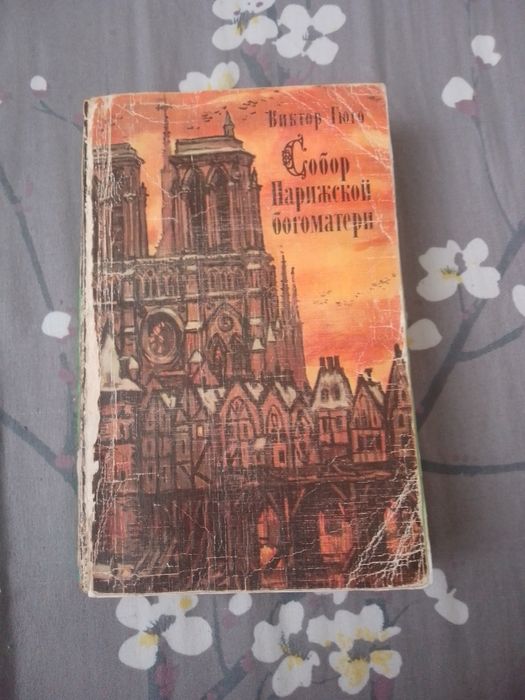 книга жанру роману "Собор Парижской богоматери"