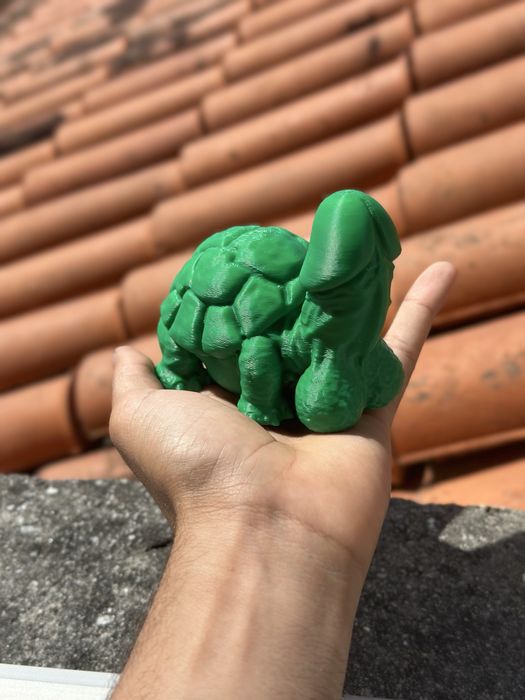 Tartaruga "Atrevida" - Impressão 3D - Presente Divertido / Gag Gift