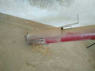 Шнековий навантажувач (погрузчик, конвейєр, протруювач) зерна, соі