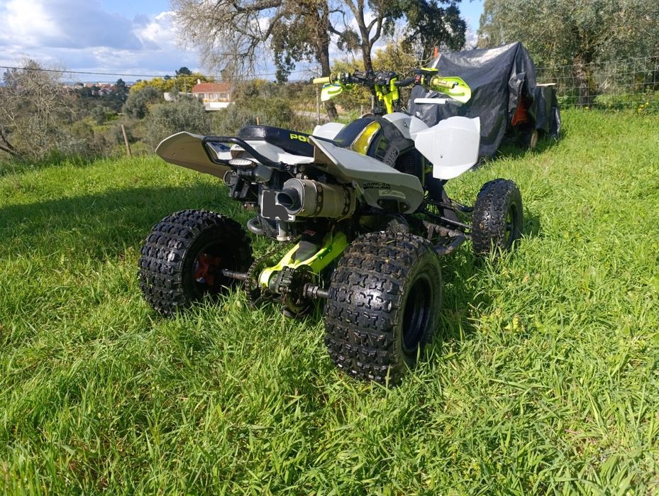 Polaris Predator 500