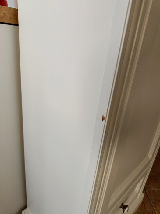 Szafa ubraniowa z dekorem