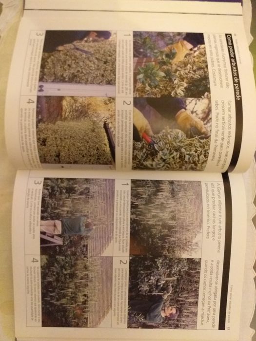 LIVRO " Aprender Jardinagem. PODA FÁCIL