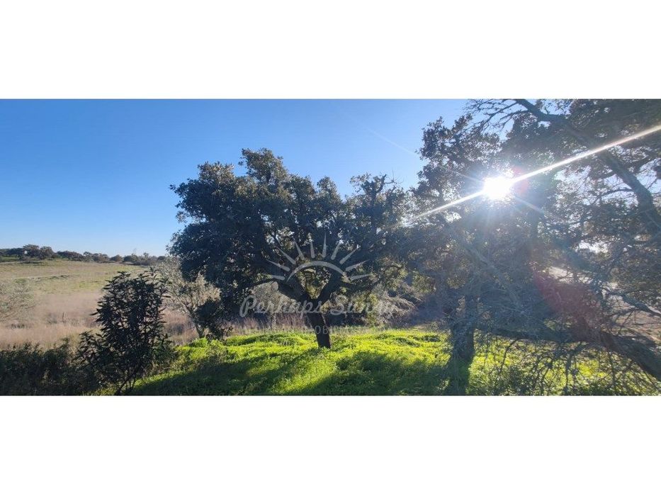 Terreno Rústico Para Venda - Uma Oportunidade Na Serra De Grândola