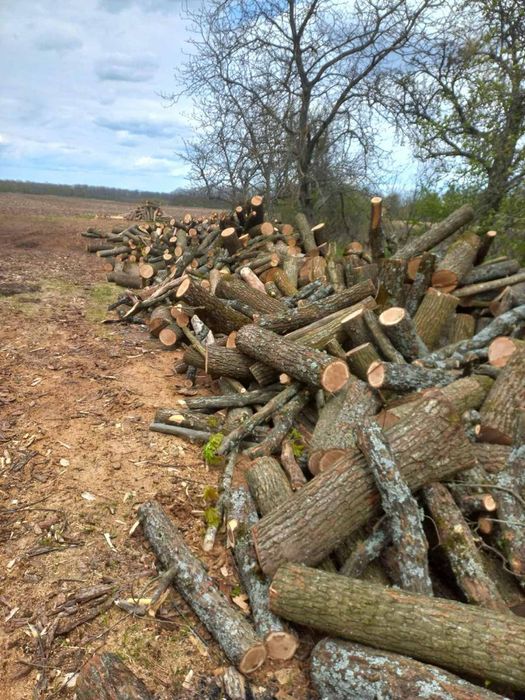Дрова 2700грн ,Дрова,рубаные, метровые.Николаев и область.ЗВОНИТЕ