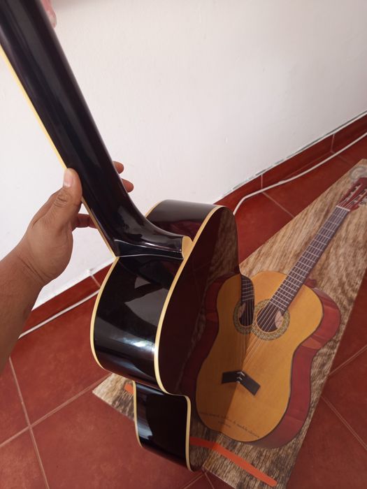 Viola  acústica nova