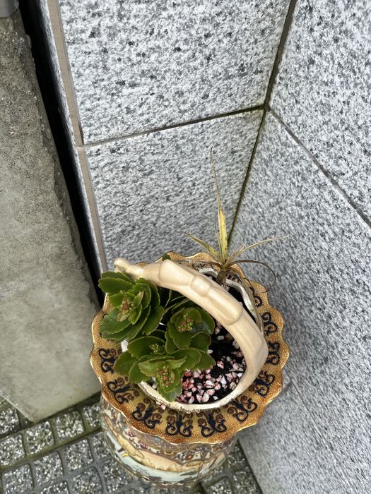 Jarro decorativo
