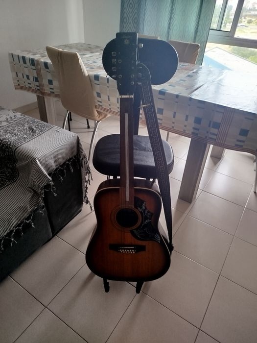 Viola acústica de 12 cordas