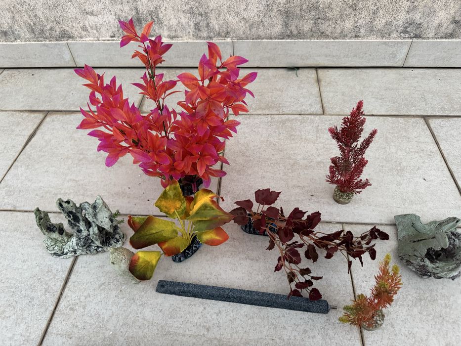 Decoracao para aquario