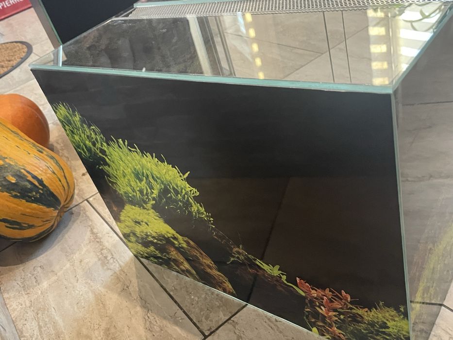 Terraium podwojnie otwierane