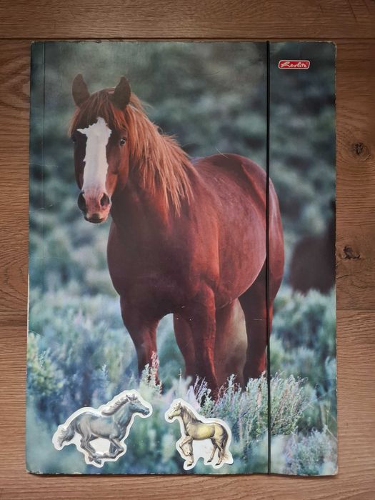Teczka a3 z gumką koń