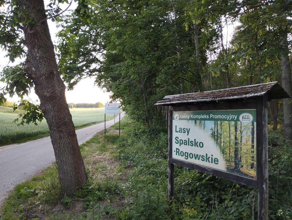DZIAŁKA BUDOWLANA  2 133m2  z Planem Ogólnym i Miejscowym- okolice ŁODZI