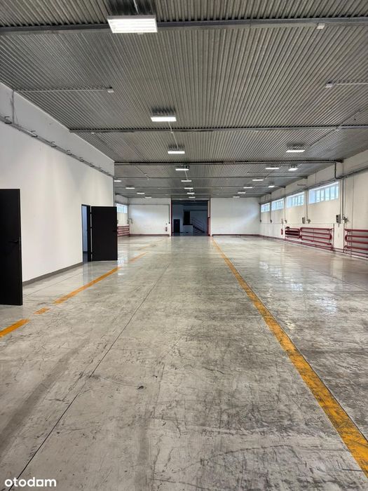 Nowoczesna hala produkcyjna – 1150 m², gotowa,wynajem lub sprzedaz