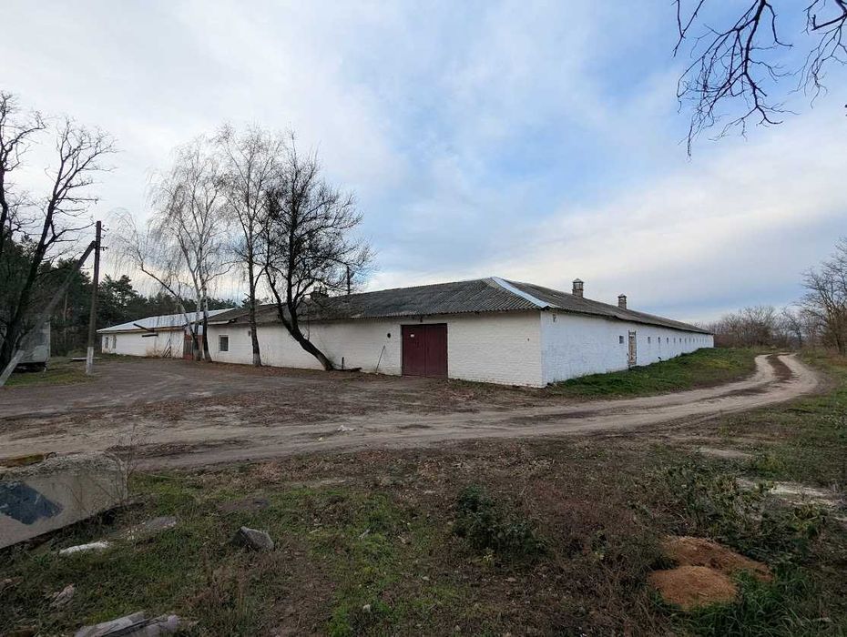 Продаж рентабельної птахоферми поблизу Городище. Кури як бізнес