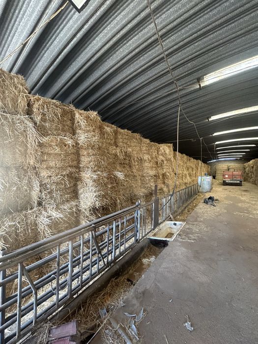 Fardos de feno e palha