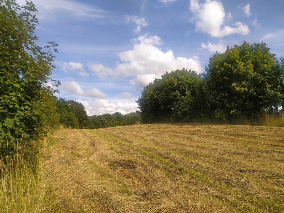 działka z Warunkami Zabudowy w Zwartówku