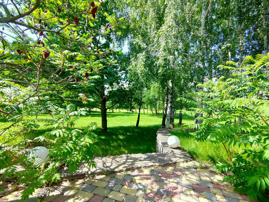 Елітна ділянка 200 соток,Осокорки до 1 шлюзу,Дніпро,Славутич 8 км,без%