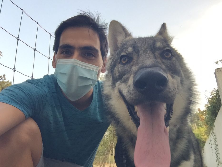 Dog Walking | Pet Sitting | Passear cães | Dogwalker | Almada