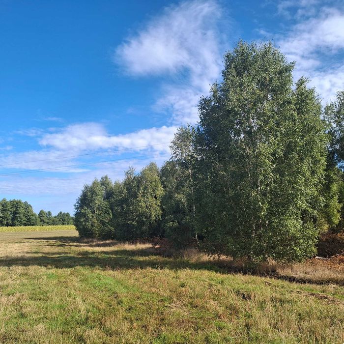 Działka na sprzedaż nad rzeką Chociną - potencjał inwestycyjny