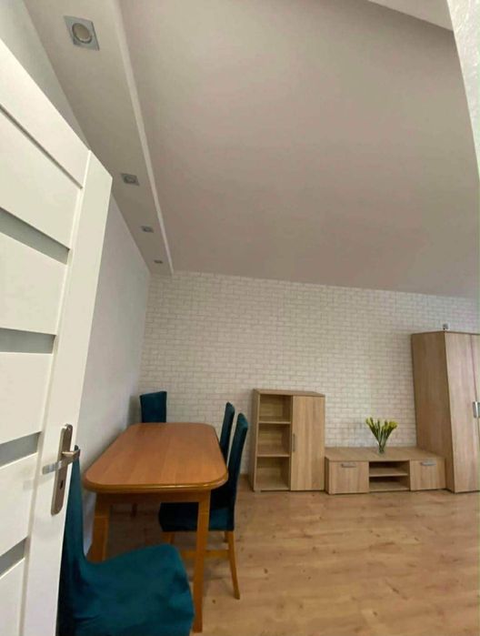 mieszkanie na wynajem (od lutego)