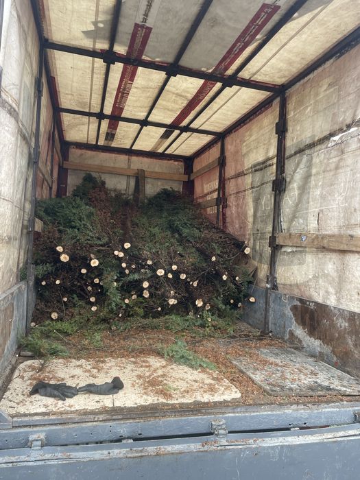 Вивіз гілок, будівельного сміття та непотрібних речей