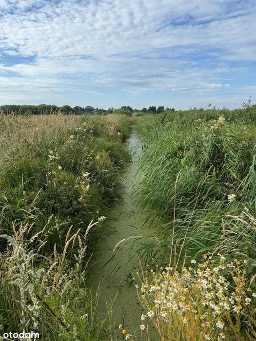 Działka rekreacyjna – Karwia (1,5 km od plaży)