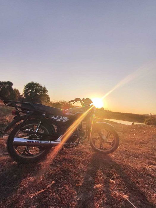 Мустанг мт 125- альфа