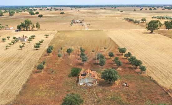 Quinta 12500m2 Alvalade