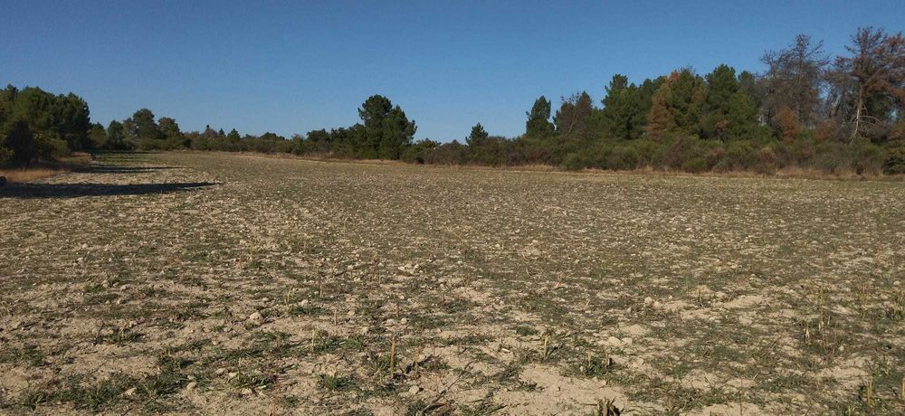 Terreno agricola