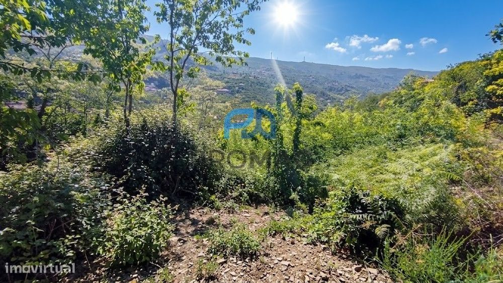 Terreno com Excelentes Vistas- Ótimo Investimento