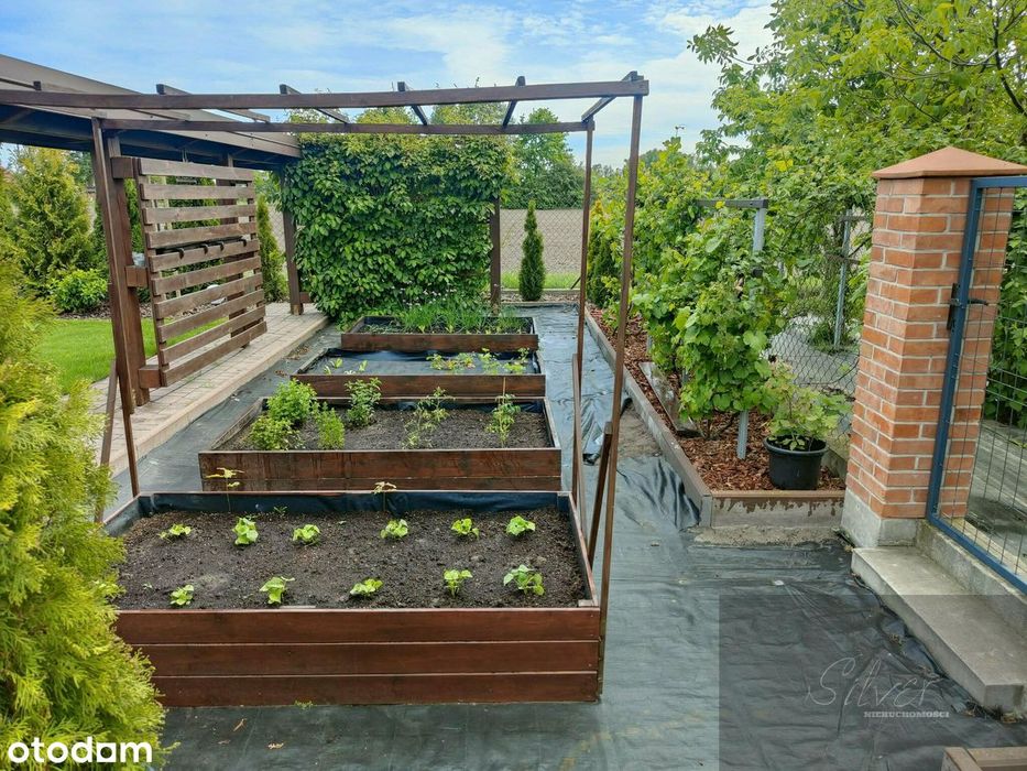 Dom, 184.0 m², Lubiejew