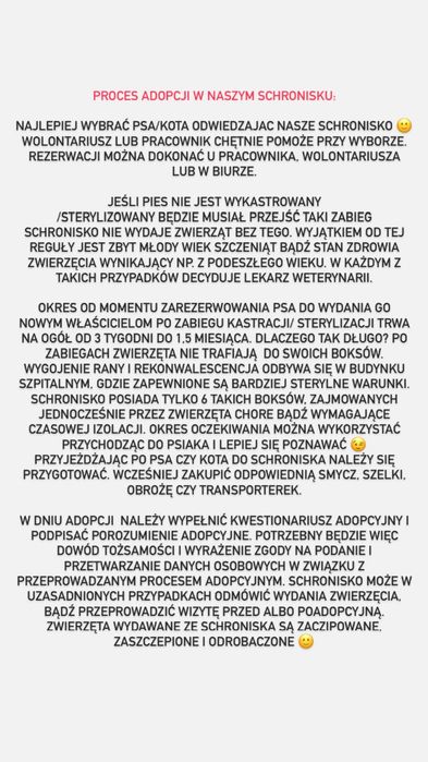 Iwo pies do adopcji Kalisz