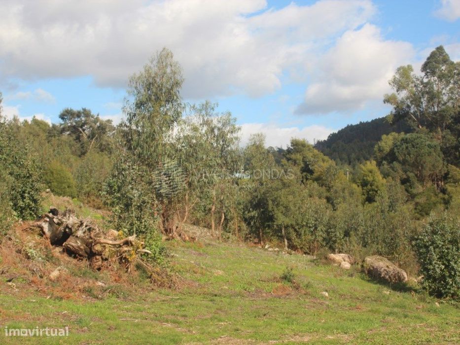 Terreno para construção, em Santo Tirso.