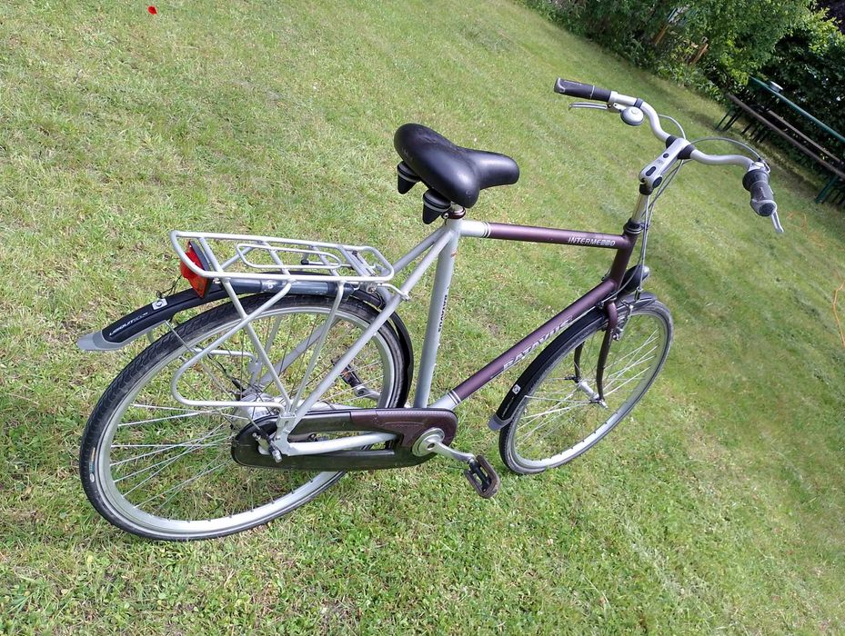 Batavus Intermezzo: idealny holender dla wysokich osób