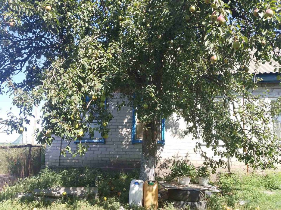 Продам будинок с. Погреби