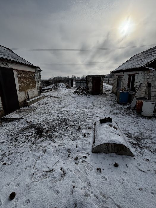 село Трепівка, вулиця Шкільна (торг реальному покупцю)