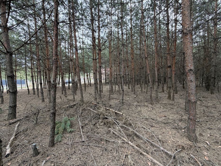 Продам ділянку під забудову в лісі 12,5 соток с. Бобриця, без %