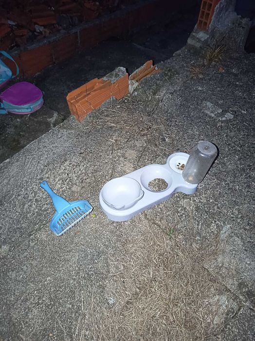 WC para gatos-lote 273