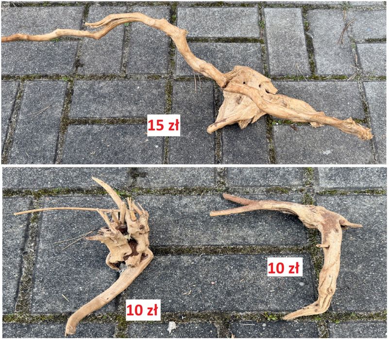 Korzenie akwarystyczne / terrarystyczne