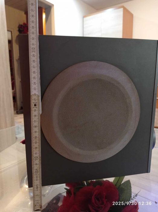 subwoofer 50wat Gruncing